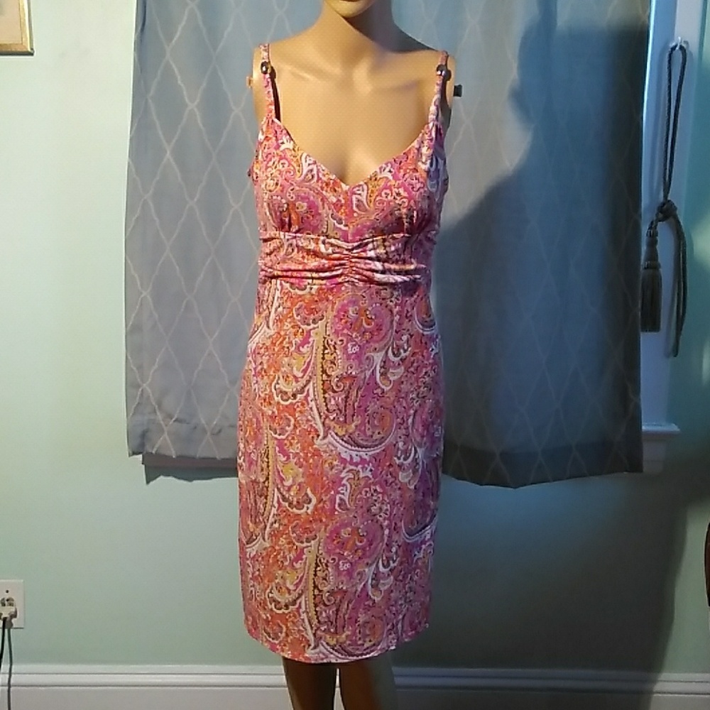Ann Taylor Loft petites 12P dress Paisley Pink